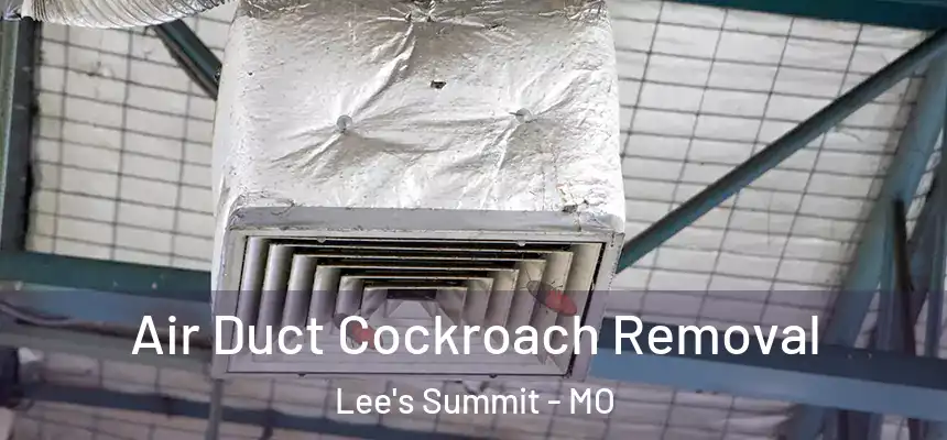 Air Duct Cockroach Removal Lee's Summit - MO