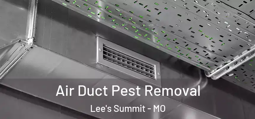 Air Duct Pest Removal Lee's Summit - MO