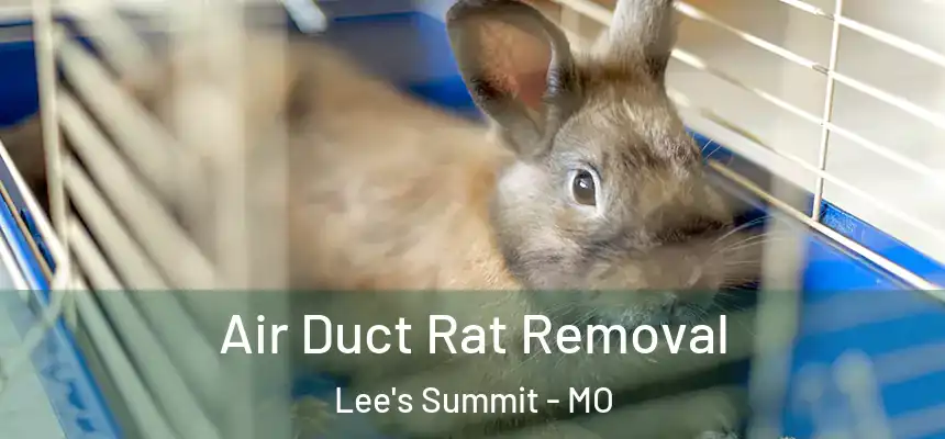 Air Duct Rat Removal Lee's Summit - MO