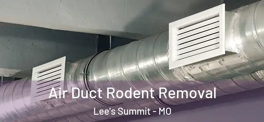 Air Duct Rodent Removal Lee's Summit - MO