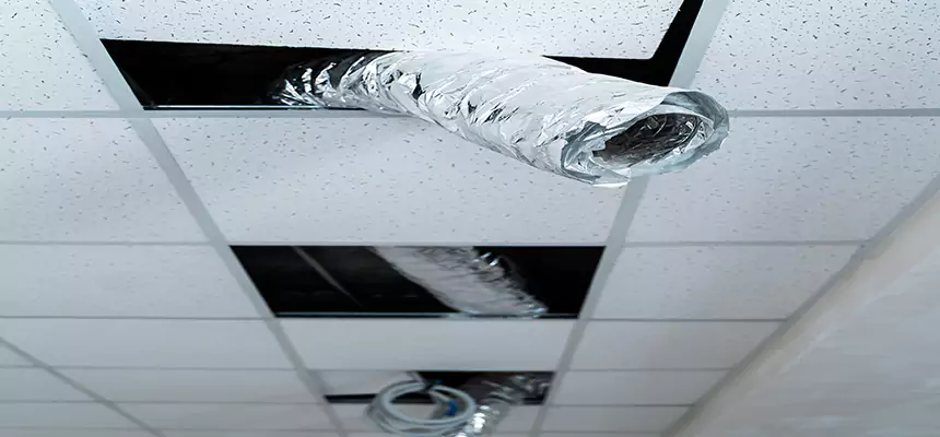 Affordable HVAC Sanitizing After Pest Removal in Lee's Summit