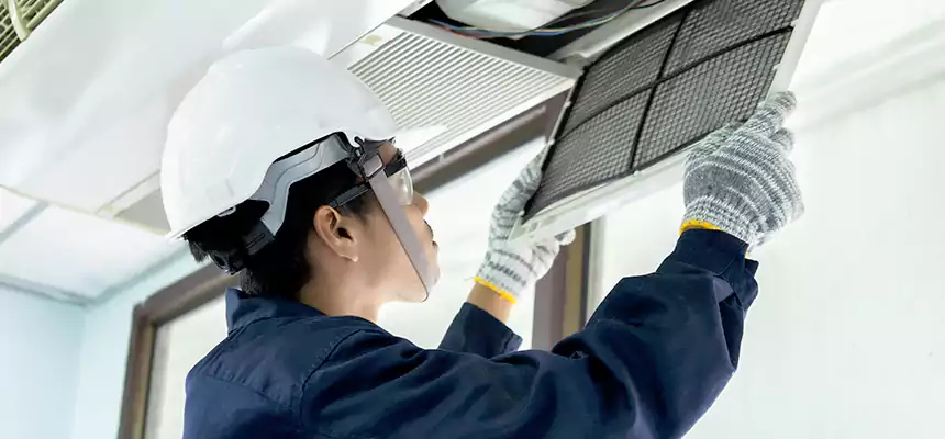 Our Mold & Mildew Removal from Air Ducts Services in Lee's Summit, MO