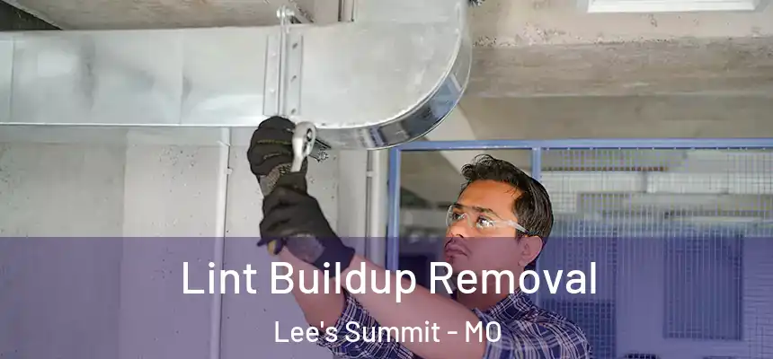 Lint Buildup Removal Lee's Summit - MO