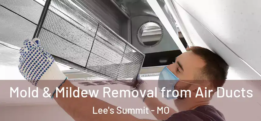 Mold & Mildew Removal from Air Ducts Lee's Summit - MO