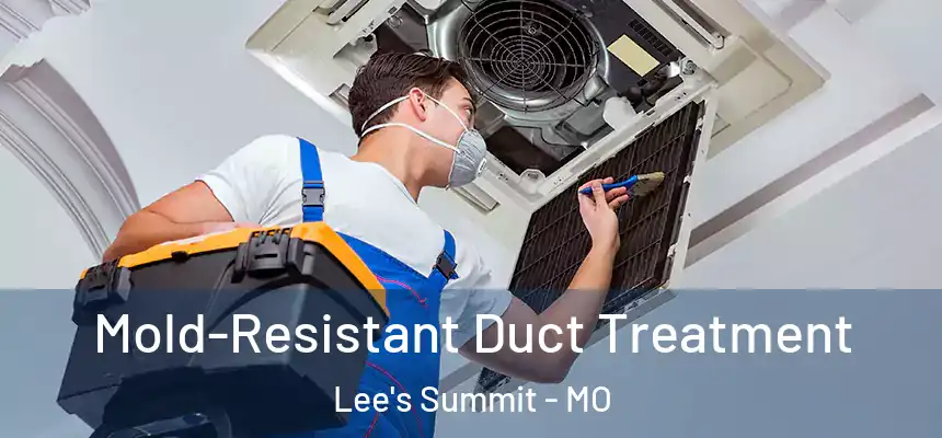 Mold-Resistant Duct Treatment Lee's Summit - MO