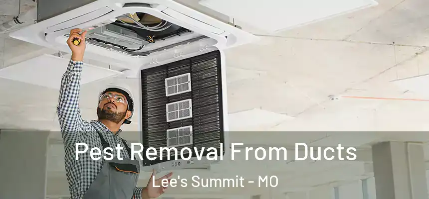 Pest Removal From Ducts Lee's Summit - MO
