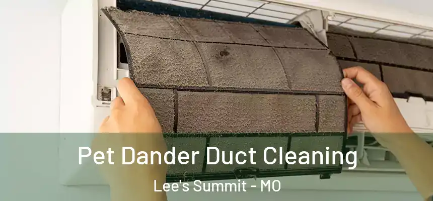 Pet Dander Duct Cleaning Lee's Summit - MO