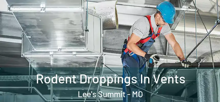 Rodent Droppings In Vents Lee's Summit - MO