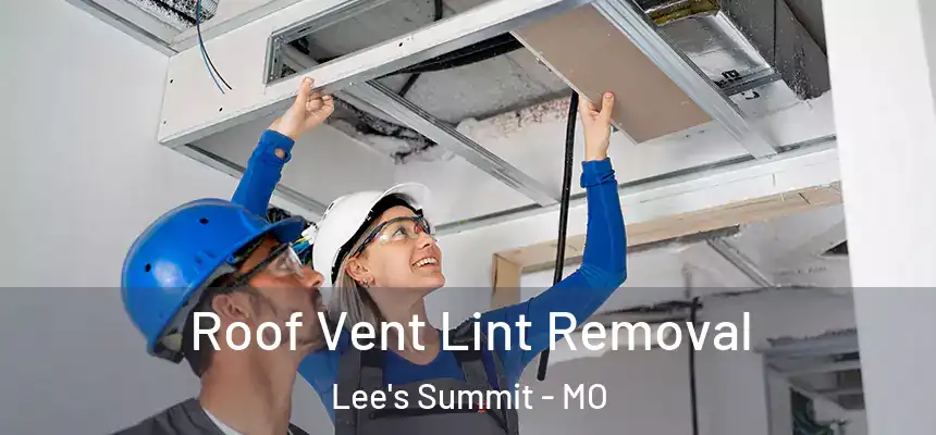 Roof Vent Lint Removal Lee's Summit - MO