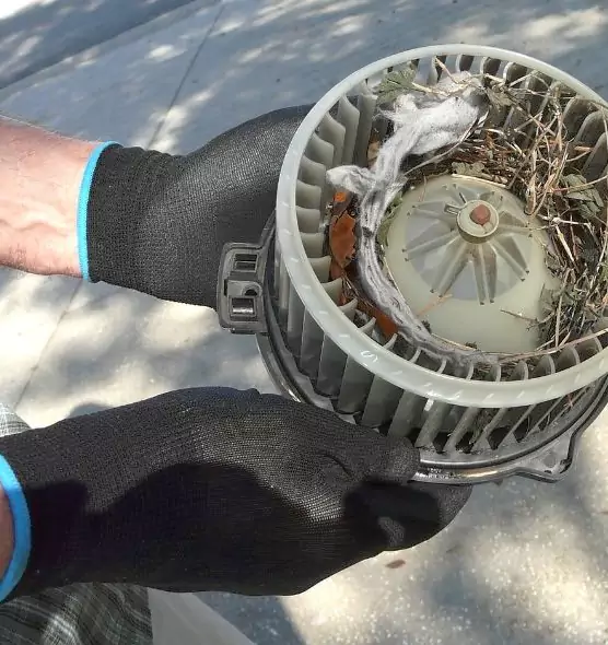 About Air Duct Mice Removal in Lee's Summit, MO