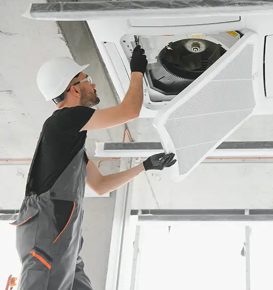 About Air Duct Rodent Removal in Lee's Summit, MO