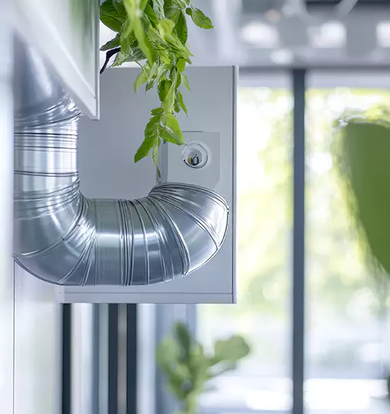 Professional Eco-Safe Dryer Vent Cleaning in Lee's Summit, MO