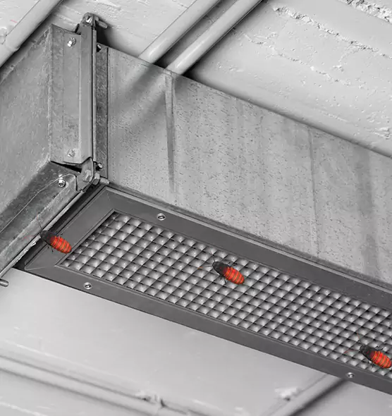 Affordable Insect Removal from Air Ducts in Lee's Summit, MO