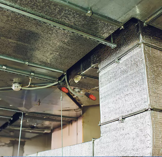 Why Homeowners & Businesses Trust Us in Lee's Summit, MO?