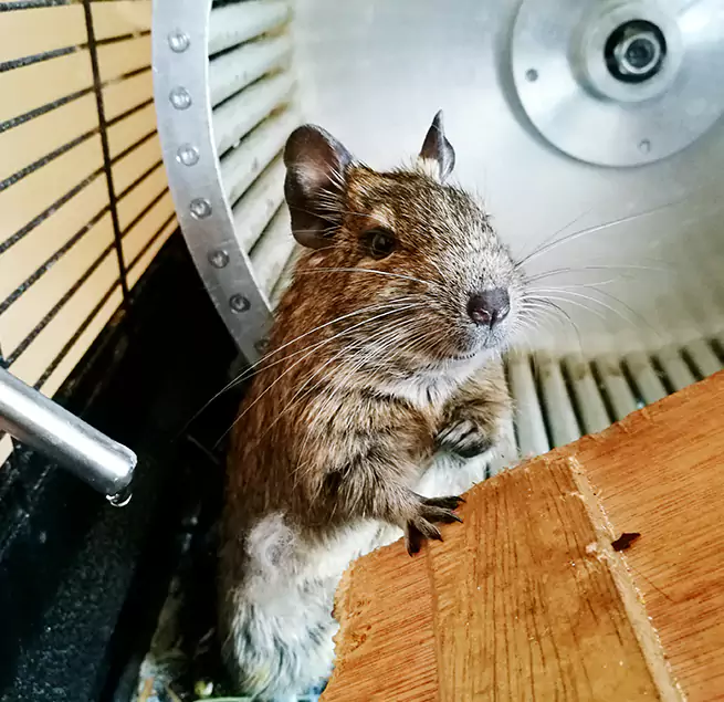 Why Homeowners & Businesses Trust Us Lee's Summit, MO?